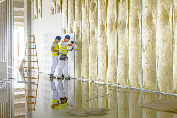 Best Fiberglass Insulation in Lynchburg, MS
